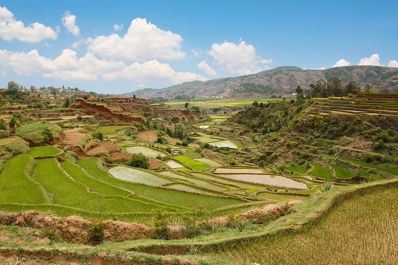 Remote Madagascar road