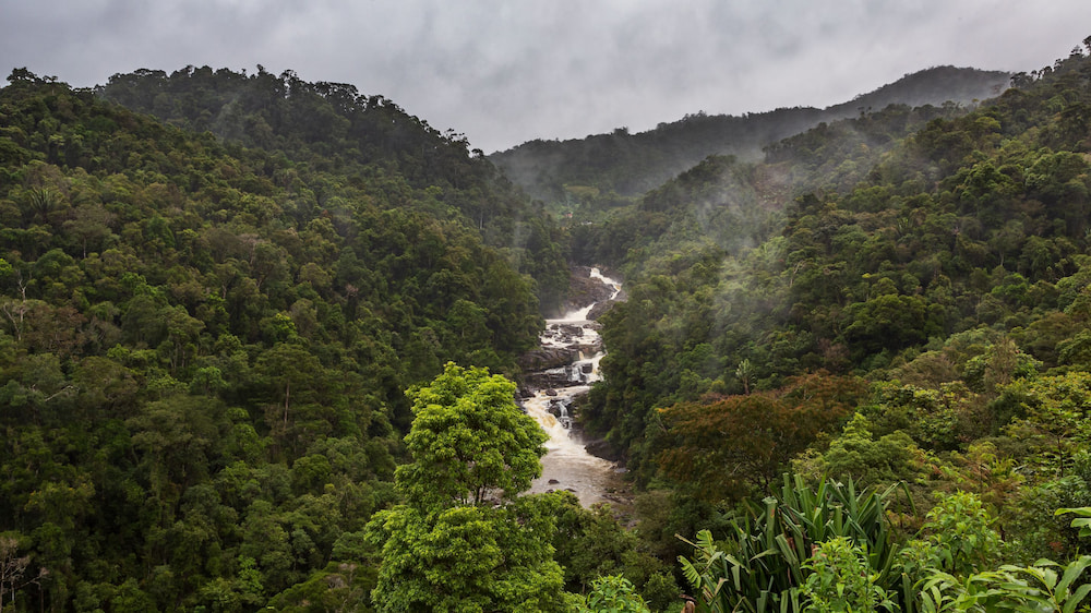 Green landscape in southeastern Madagascar
