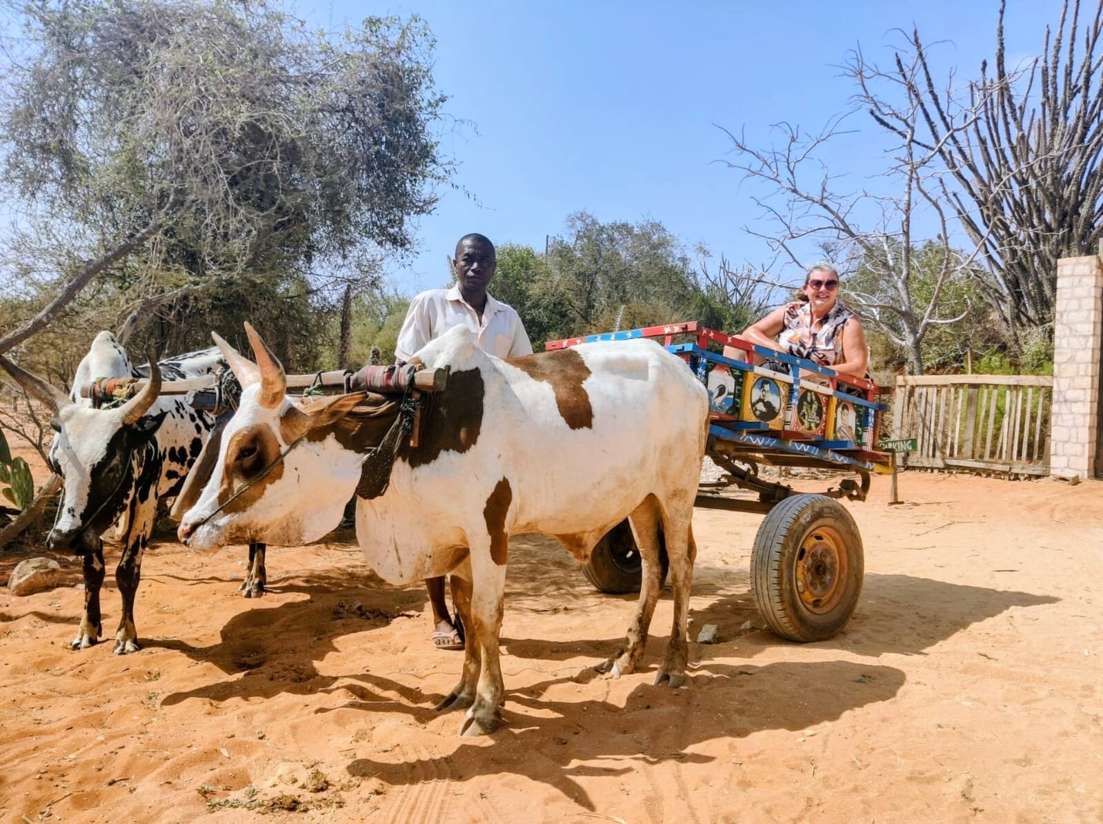 Traditional zebu cart encountered during a Madagascar journey