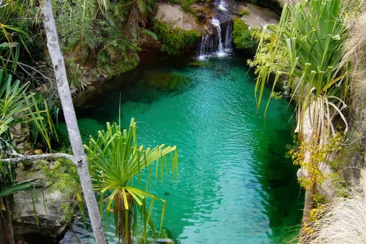 Entdecken Sie die Vielfalt Madagaskars